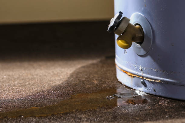 Best Flooded house restoration  in Medford, MN