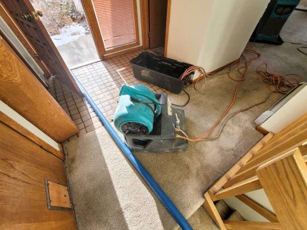 Best Professional water damage repair  in Medford, MN