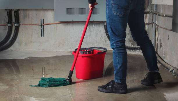 Water damage restoration mold remediation in MN