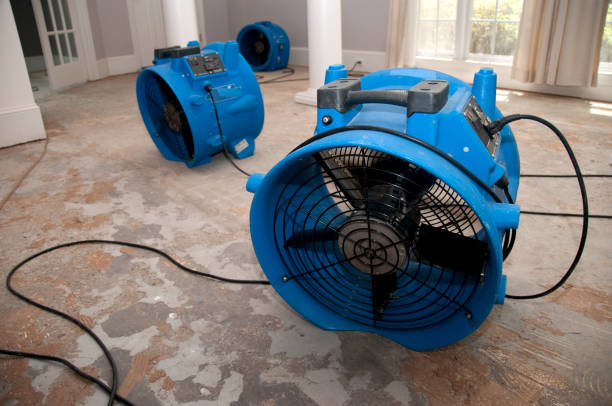 Best Emergency water damage restoration  in Medford, MN