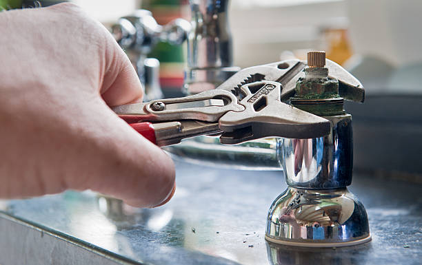 Best Mold removal after water damage  in Medford, MN