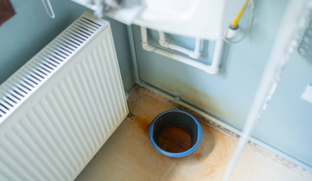Best Flood restoration services  in Medford, MN