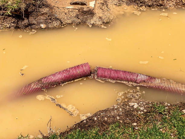 Best 24/7 water damage repair  in Medford, MN