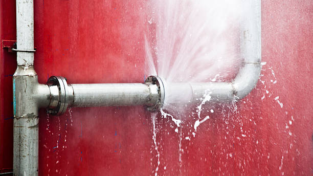 Best Commercial water damage restoration  in Medford, MN