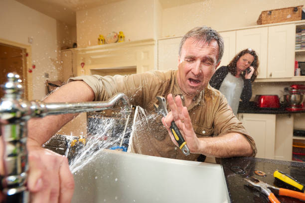 Best Water damage contractors near me  in Medford, MN